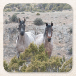 Wild Mustang Mare und Wild Horse Stallion Rechteckiger Pappuntersetzer