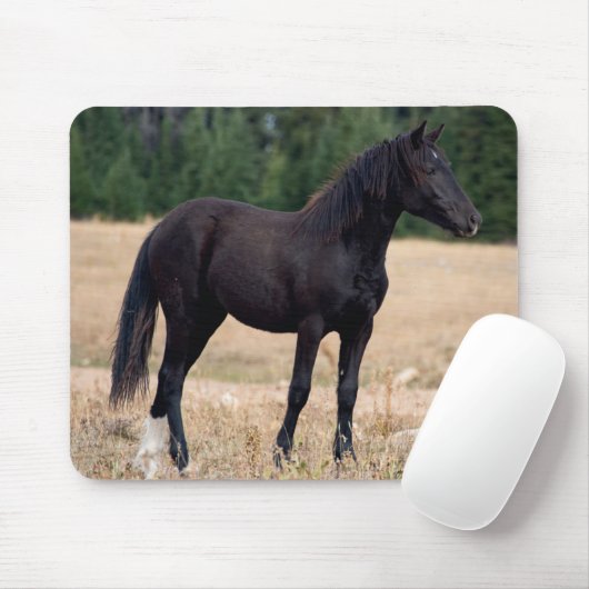 Wild Mustang Mousepad (Mit Mouse)
