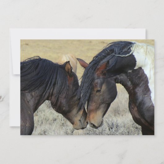 Wild Mustang Pferde Hochzeitsreisen Einladung (Rückseite)