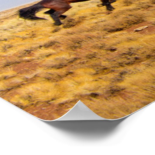 Wild Mustang Pferde Running and Rainbow Poster (Ecke)