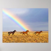 Wild Mustang Pferde Running and Rainbow Poster (Vorne)
