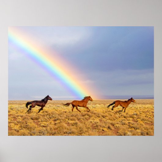 Wild Mustang Pferde Running and Rainbow Poster (Vorne)