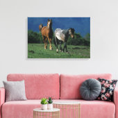 Wild Mustang Pferses Leinwanddruck (Insitu (Wohnzimmer))