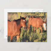 Wild Mustang Pferses Postkarte (Vorne/Hinten)