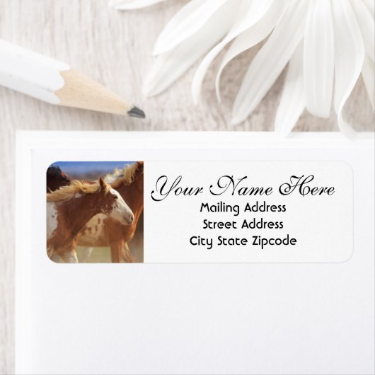 Wild Mustang Rücksendeadresse (Insitu)