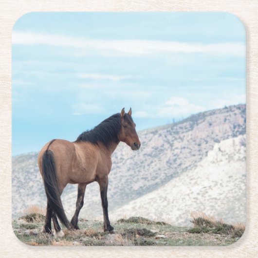 Wild Mustang Stallion Rechteckiger Pappuntersetzer (Vorderseite)
