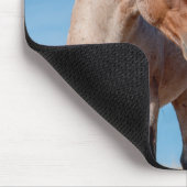 Wild Mustang Stallion und Wild Horse Foal Mousepad (Ecke)