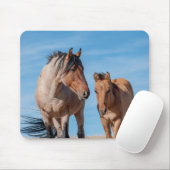 Wild Mustang Stallion und Wild Horse Foal Mousepad (Mit Mouse)