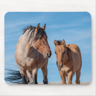 Wild Mustang Stallion und Wild Horse Foal Mousepad