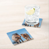 Wild Mustang Stallion und Wild Horse Foal Rechteckiger Pappuntersetzer (Vor Ort)