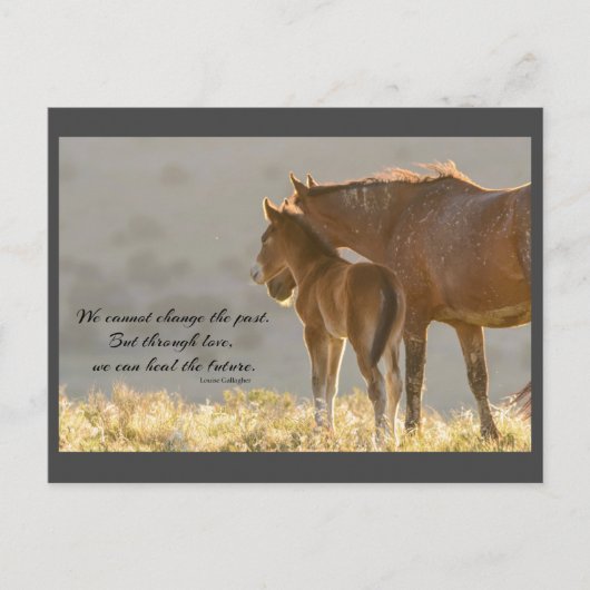 Wild Mustangs Forever Postcard Postkarte (Vorderseite)