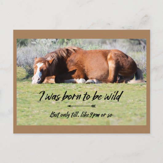 Wild Mustangs Forever Postcard Postkarte (Vorderseite)