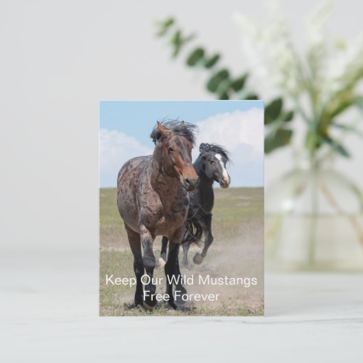 Wild Mustangs Forever Postcard Postkarte (Stehend Vorderseite)