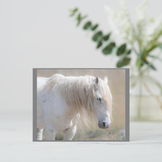 Wild Mustangs Forever Postcard Postkarte (Stehend Vorderseite)