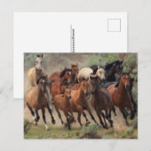 Wild Mustangs Horse Postkarte (Vorne/Hinten)