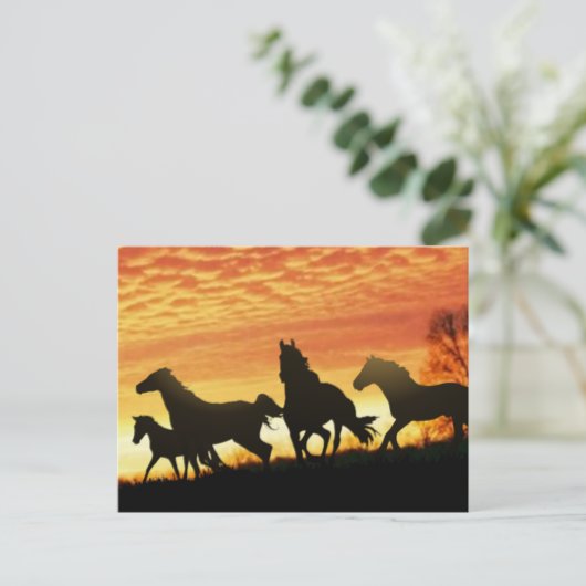 Wild Mustangs Postkarte (Stehend Vorderseite)