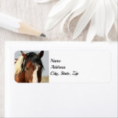 Wild Mustangs von der Westadresse (Insitu)