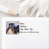 Wild Mustangs von der Westadresse (Insitu)