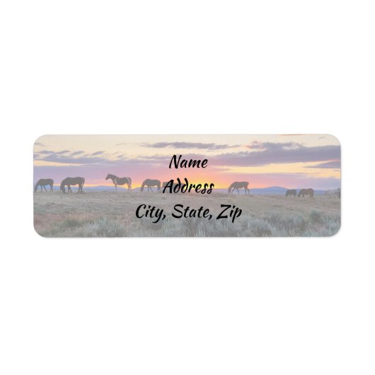 Wild Mustangs von der Westadresse (Vorne)