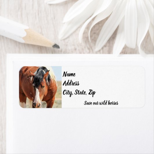 Wild Mustangs von der Westadresse (Insitu)