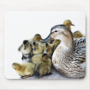 Wild Mutter Ente und Enkeln Mousepad
