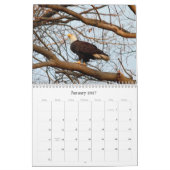 Wild Nature-Bald-Adler-Foto Kalender (Jan 2027)