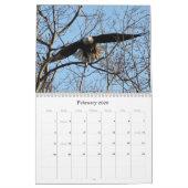 Wild Nature-Bald-Adler-Foto Kalender (Feb 2026)