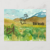 Wild Nevada Bighorn Sheep Wüste Landschaft Postkarte (Vorderseite)