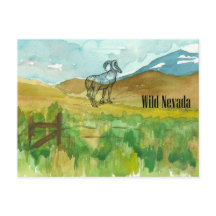 Wild Nevada Bighorn Sheep Wüste Landschaft