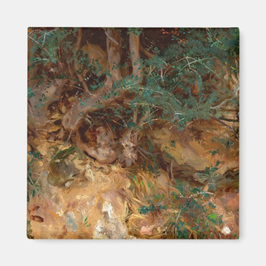 Wild Olive Tree Roots, 1908 von John Singer Sargen Magnet (Vorne)