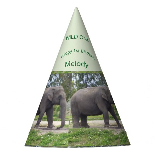 Wild One Elephant Birthday Cone Design Partyhütchen (Vorderseite)