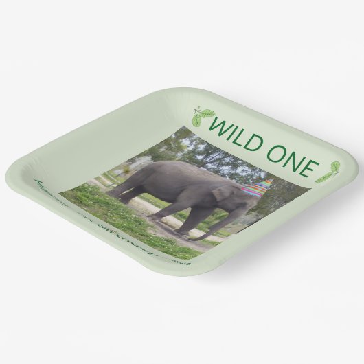 Wild One Elephant First Birthday Celebration Pappteller (Gewinkelt)