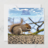 Wild One First Birthday Card Einladung Eichhörnche (Rückseite)