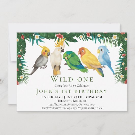 Wild One Tropical Exotic Parrots Junge 1. Geburtst Einladung (Vorderseite)