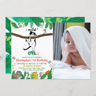 Wild One Tuxedo Kitty Kids 1st Birthday Einladung