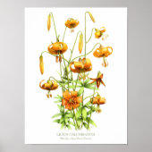 Wild Orange Tiger Lilies Originale Kunst Poster (Vorne)
