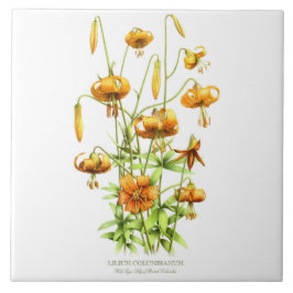 Wild Orange Tiger Lily Floral Botanischer Stil Art Fliese