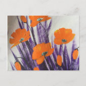 Wild-Orangenmohn Postkarte (Vorderseite)