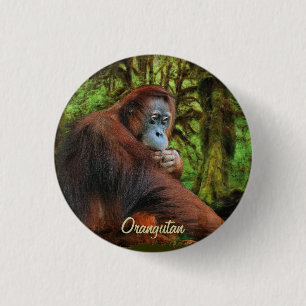 Wild Orangutan & Jungle Primat Art Button