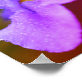 Wild-Orchid-Blume Poster (Ecke)