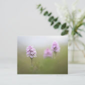 Wild Orchid Foto Postkarte (Stehend Vorderseite)