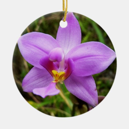 Wild Orchid Lila tropische Blume Keramikornament (Vorne)