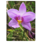Wild Orchid Lila tropische Blume Klemmbrett (Rückseite)