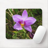 Wild Orchid Lila tropische Blume Mousepad (Mit Mouse)