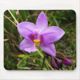 Wild Orchid Lila tropische Blume Mousepad