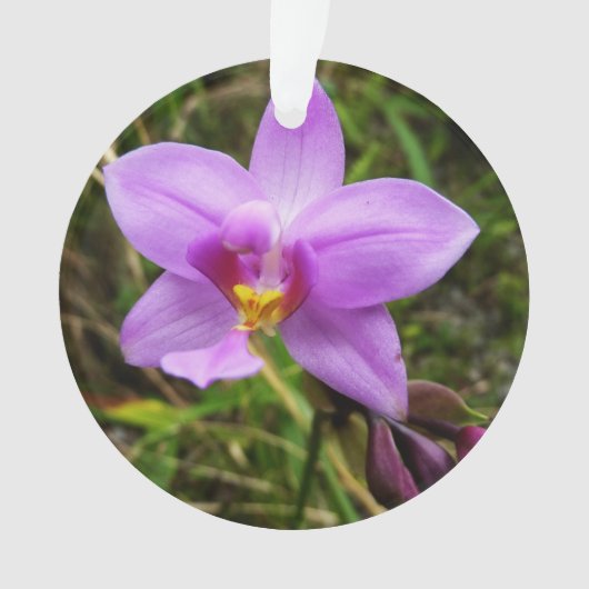 Wild Orchid Lila tropische Blume Ornament (Vorderseite)