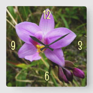 Wild Orchid Lila tropische Blume Quadratische Wanduhr