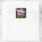 Wild Orchid Lila tropische Blume Quadratischer Aufkleber (Tasche)