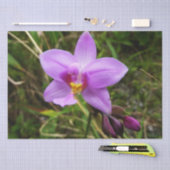 Wild Orchid Lila tropische Blume Seidenpapier (Handwerk)