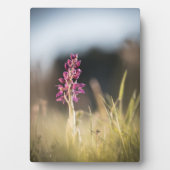 Wild Orchid Nature Foto Fotoplatte (Vorderseite)